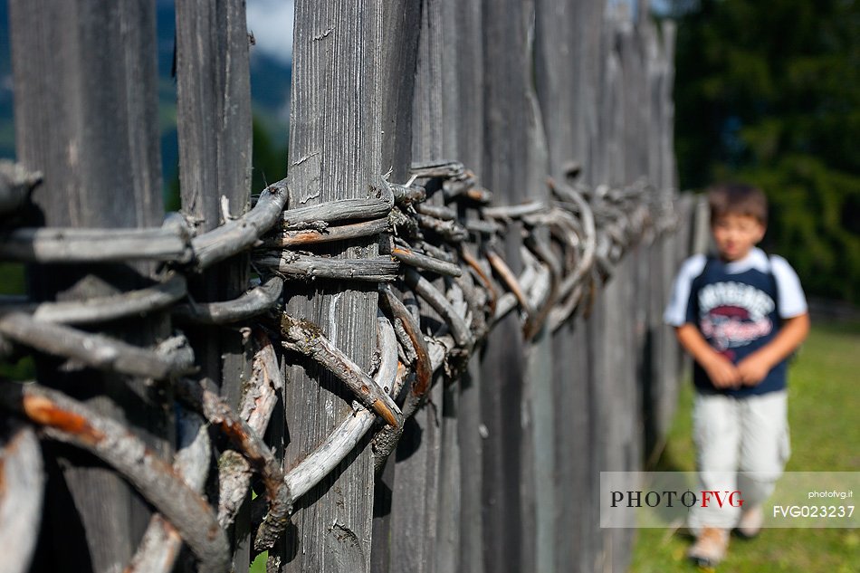 Child hiking in Badia Valley, South Tyrol, Dolomites, Italy