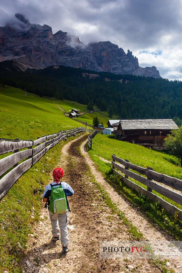 Child hiking in Badia Valley, South Tyrol, Dolomites, Italy