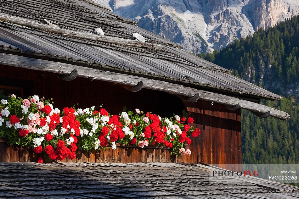 Typical house with flowers in Val Badia, South Tyrol, dolomites, Italy