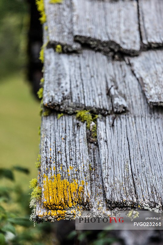 Traditional house, detail of a shingle roof, Badia Valley, dolomites, Italy