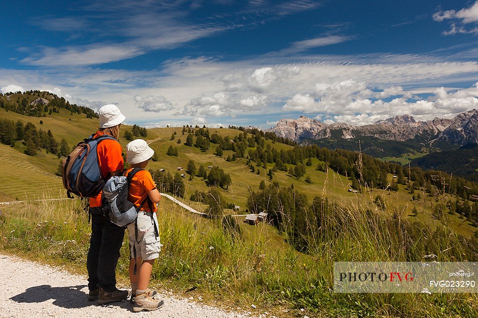 Admiring the meadows of Utia Vaciara, Badia Valley, South Tyrol, Dolomites, Italy