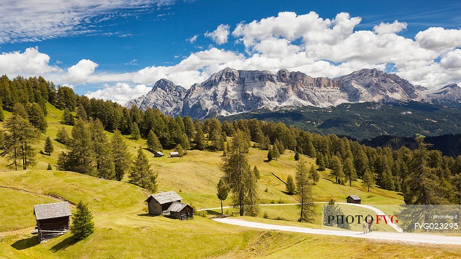 Hiking along the path and meadows of Utia Vaciara, Badia Valley, South Tyrol, Dolomites, Italy 