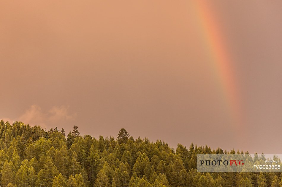 Rainbow over alpine forest, Badia Valley, dolomites, Italy