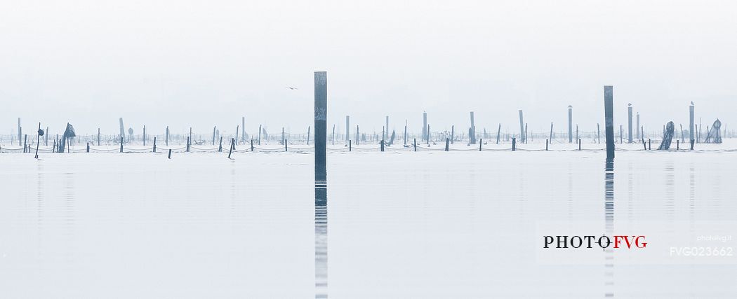 Fishing nets on Marano's lagoon, Marano Lagunare, Italy