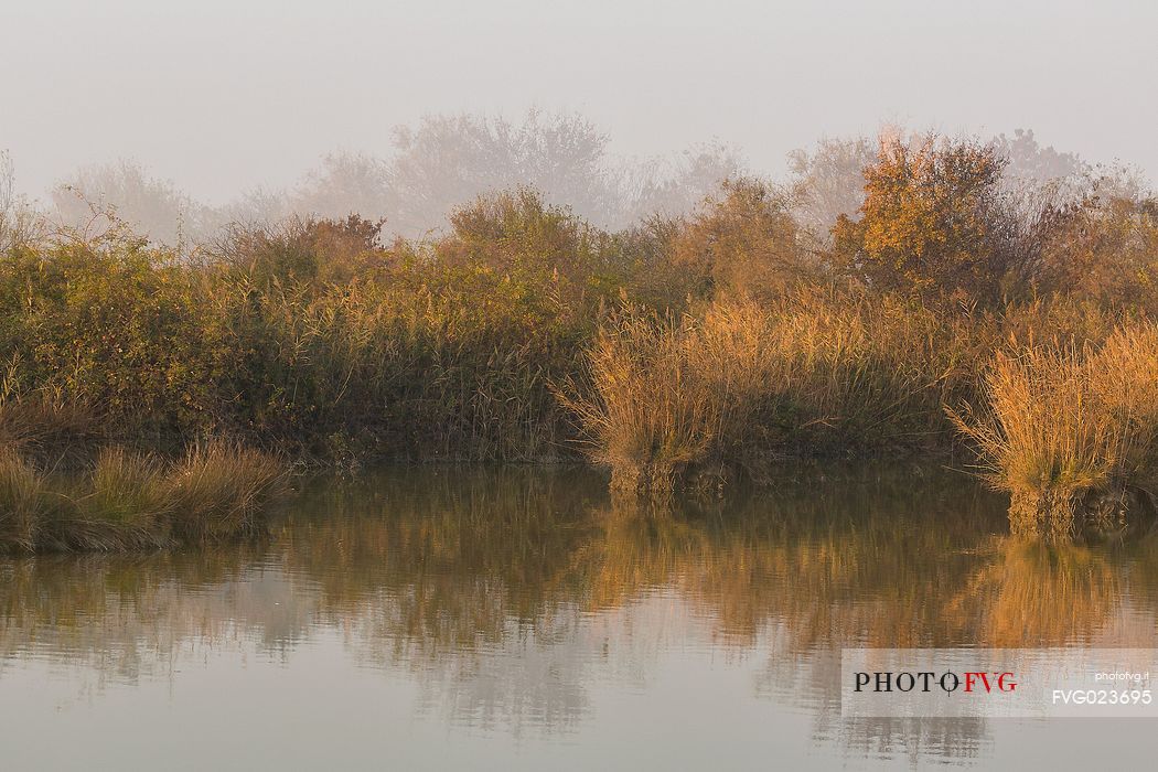 Landscape of the Marano's lagoon, Marano Lagunare, Italy