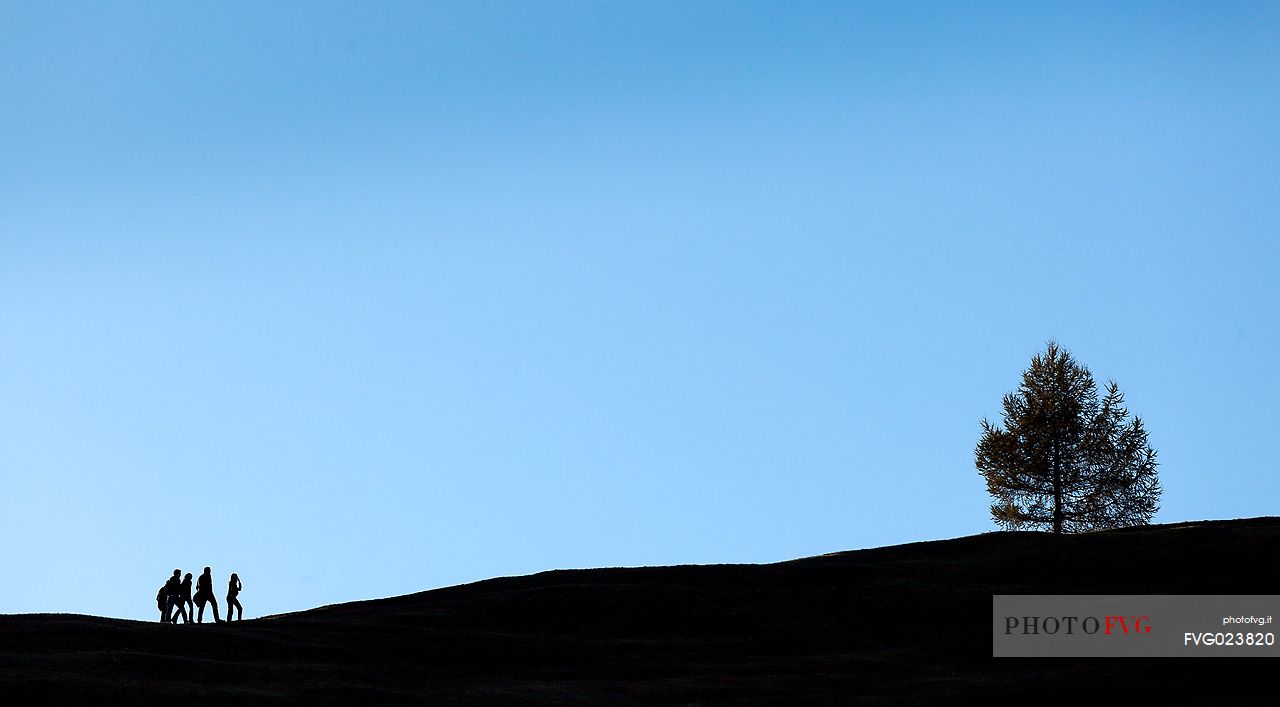 Silhouette young people hiking along a path of Prati dell'Armentara, South Tyrol, Dolomites, Italy 