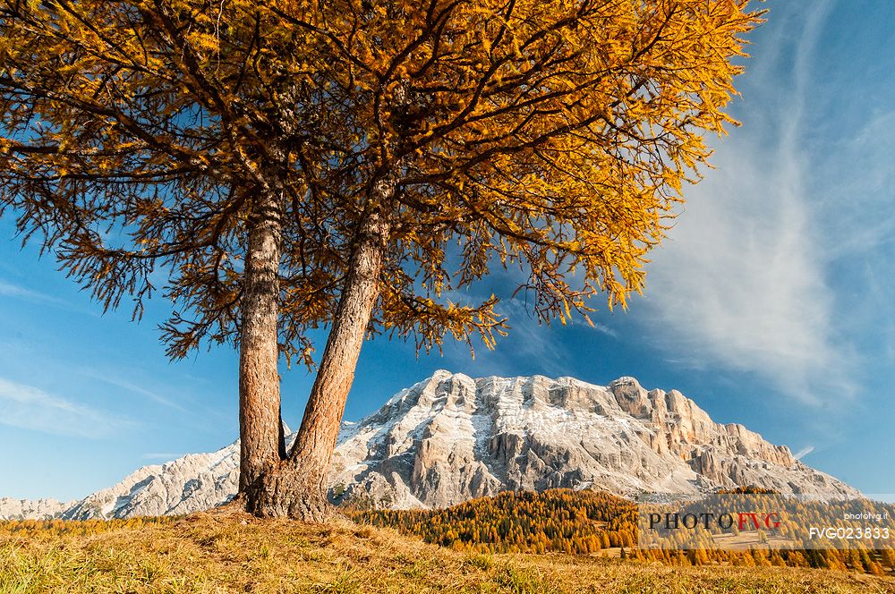 Prati dell'Armentara alpine meadows with barns in autumn, Sasso della Croce mountain group in background, South Tyrol, Dolomites, Italy
 