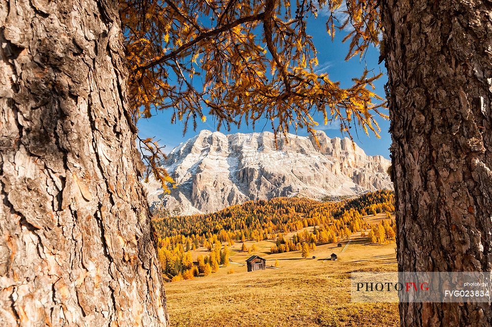 Prati dell'Armentara alpine meadows with barns in autumn, Sasso della Croce mountain group in background, South Tyrol, Dolomites, Italy
 