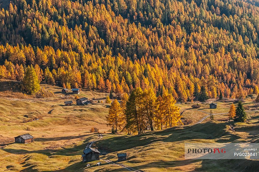 Prati dell'Armentara alpine meadows with barns in autumn, South Tyrol, Dolomites, Italy
 