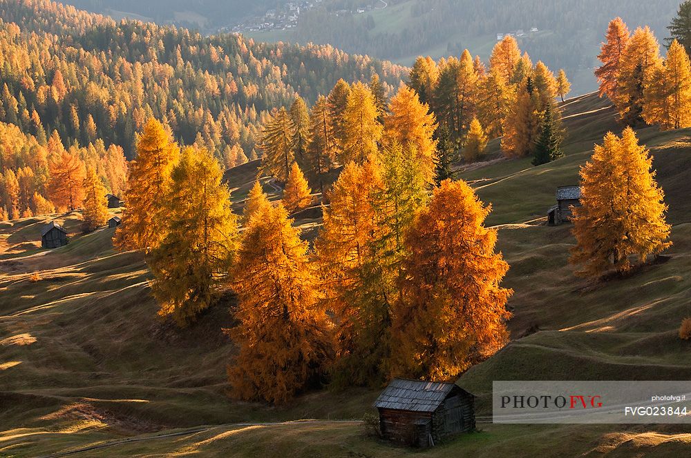 Prati dell'Armentara alpine meadows with barns in autumn, South Tyrol, Dolomites, Italy
 
