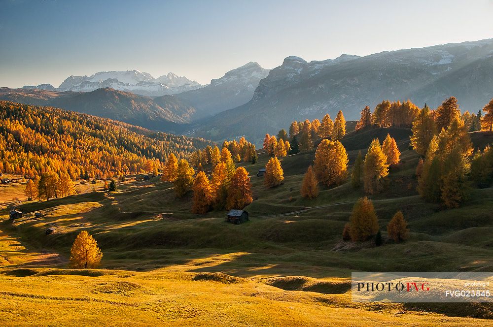 Prati dell'Armentara alpine meadows with barns in autumn, South Tyrol, Dolomites, Italy, Parco Naturale Fanes Senes Braies 