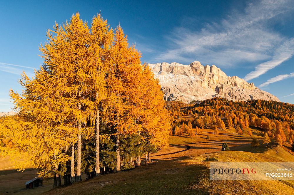 Prati dell'Armentara alpine meadows with barns in autumn, Sasso della Croce mountain group in background, South Tyrol, Dolomites, Italy
 