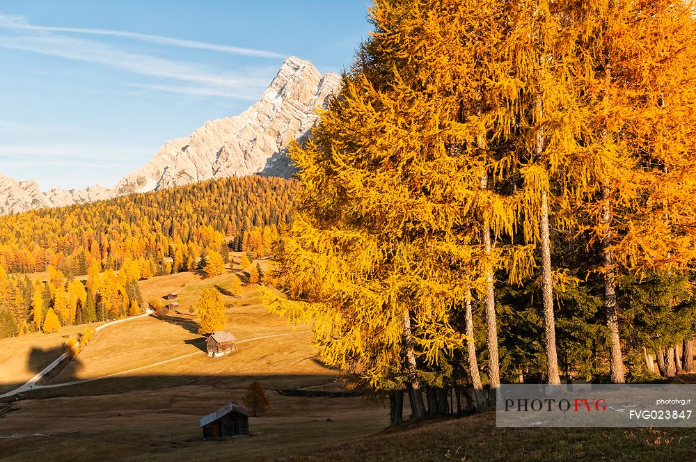 Prati dell'Armentara alpine meadows with barns in autumn, Sasso della Croce mountain group in background, South Tyrol, Dolomites, Italy
 