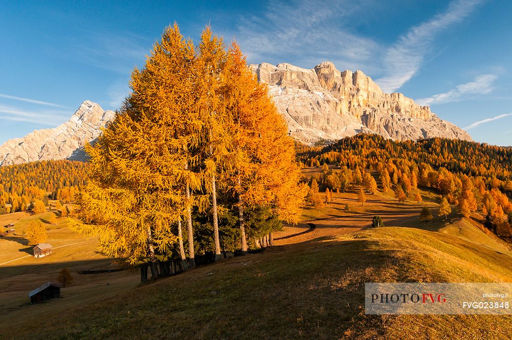 Prati dell'Armentara alpine meadows with barns in autumn, Sasso della Croce mountain group in background, South Tyrol, Dolomites, Italy
 