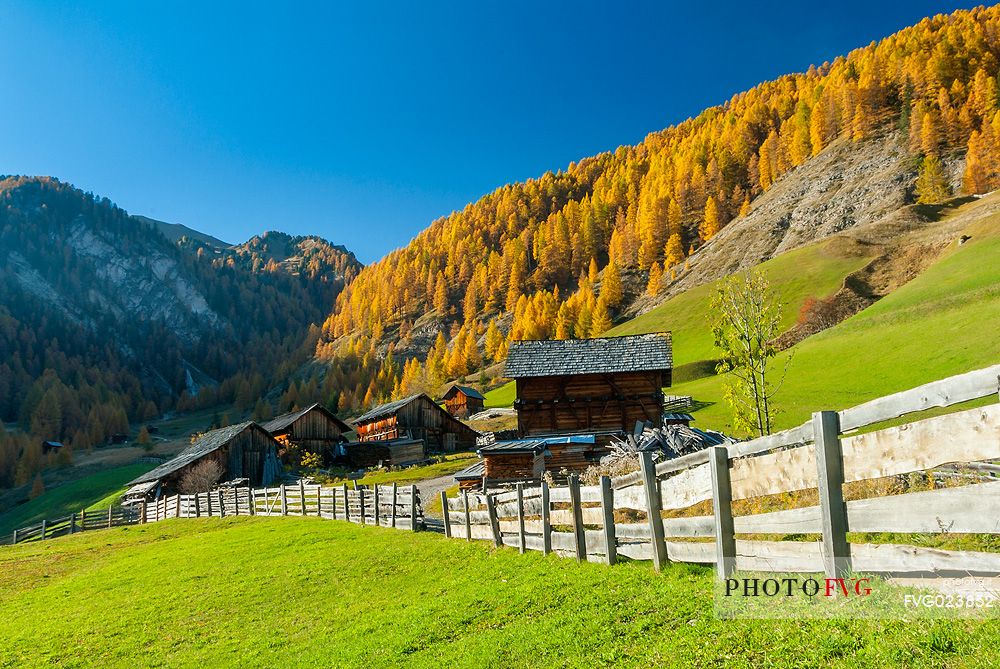 Longiar alpine meadows with farms and barns in autumn, South Tyrol, Dolomites, Italy, Valle dei Mulini, Badia Valley, Puez Odle Natural Park 