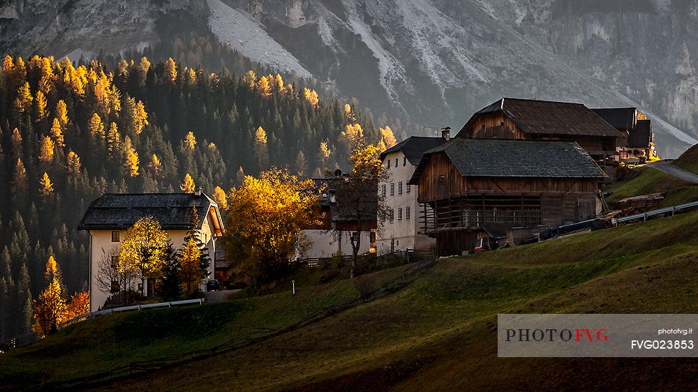 Typical farm of Longiar in autumn, South Tyrol, Dolomites, Italy, Valle dei Mulini, Longiar, Badia Valley, Puez Odle Natural Park 