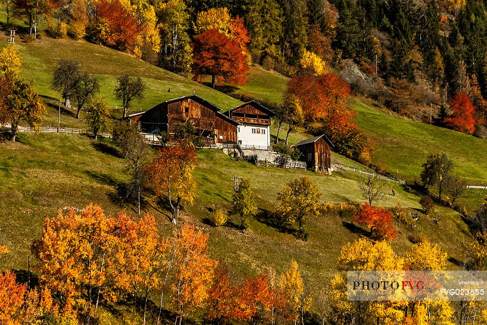 Autumn in Funes valley, dolomites, italy