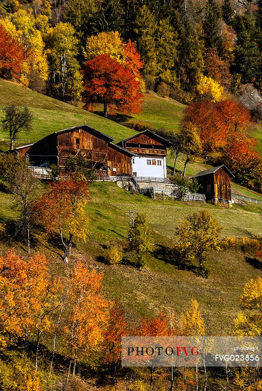 Autumn in Funes valley, dolomites, italy