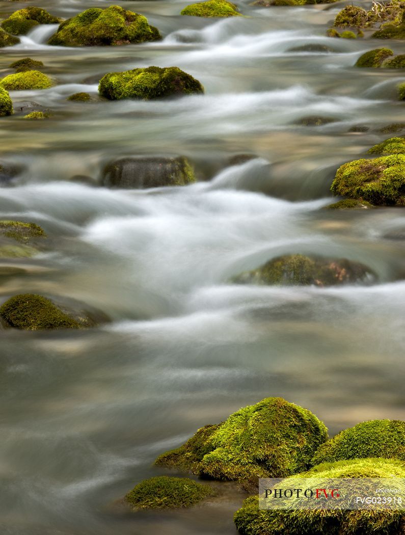 Detail of Vallesinella river waterfall, Madonna di Campiglio, Brenta dolomites, italy