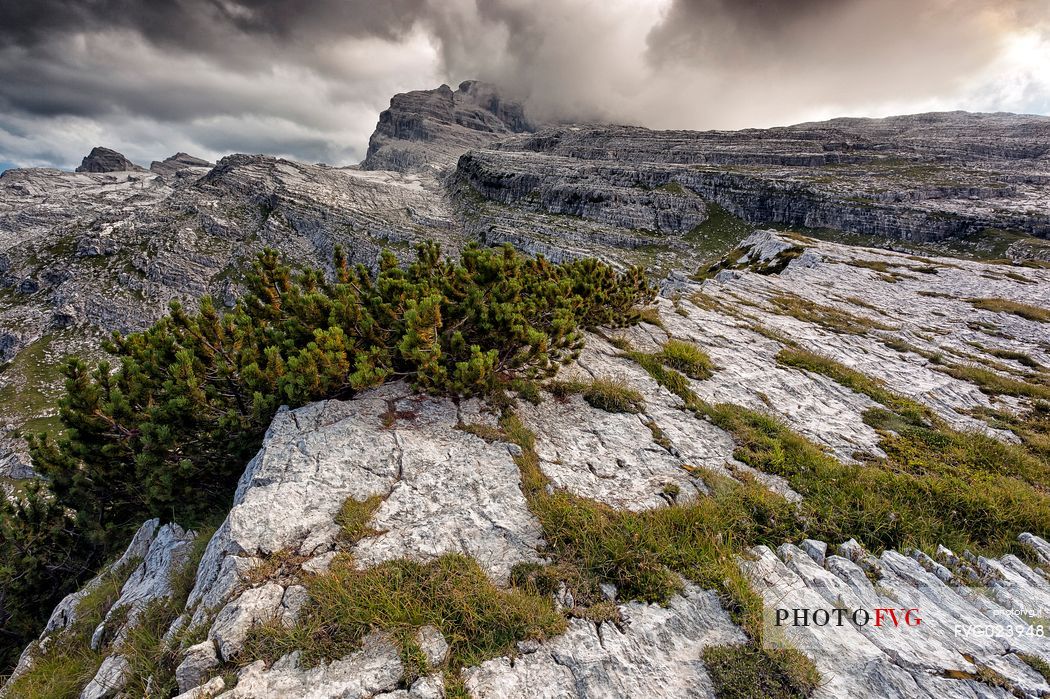 Dolomites of Brenta from Grost pass, Madonna di Campiglio, Italy