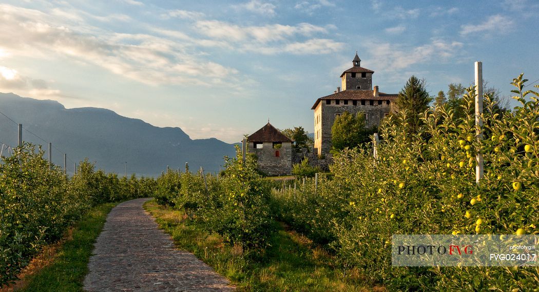 Castel Nanno castle and apple trees, Val di Non, Trentino, Italy