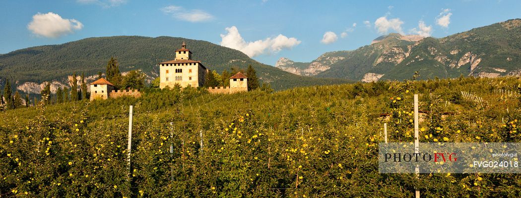 Castel Nanno castle and apple trees, Val di Non, Trentino, Italy