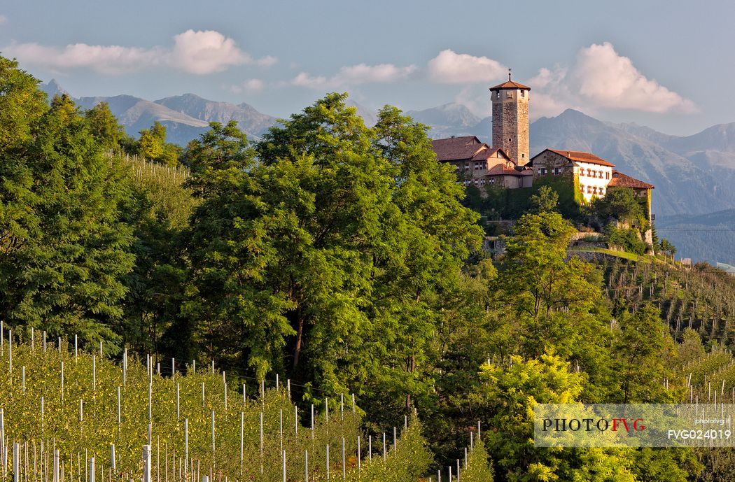 Castel Valer castle and apple trees, Val di Non, Trentino, Italy