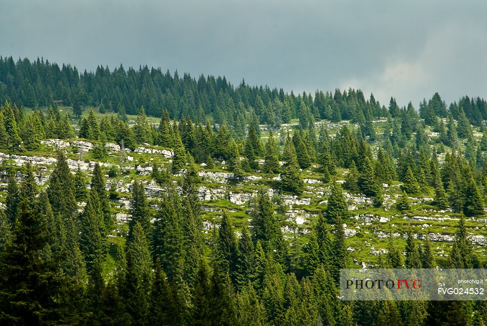 Landscape of Zebio mountain, Asiago, Italy