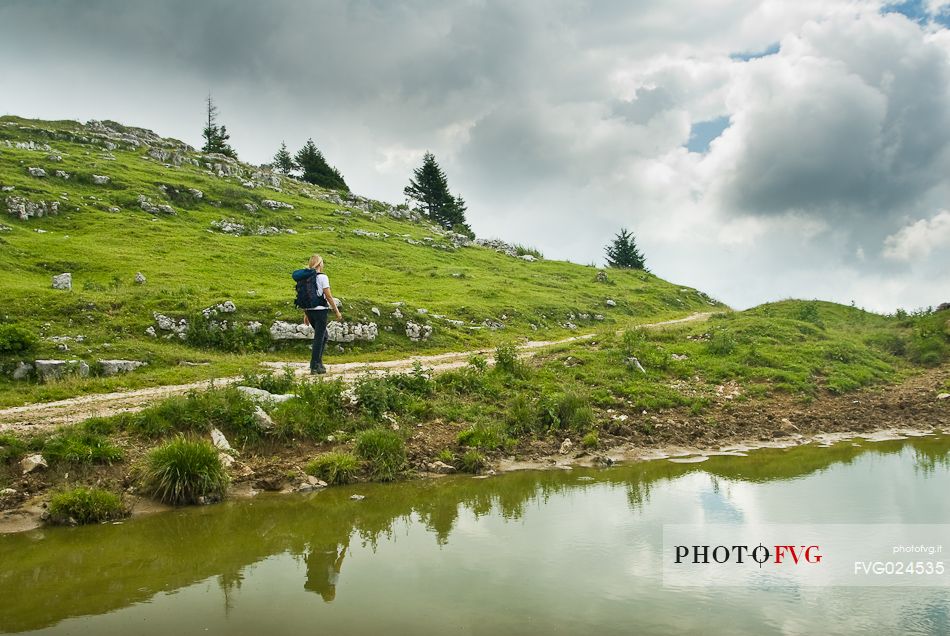 Hiker in the landscape of Monte Zebio, Asiago, Veneto, Italy, Europe