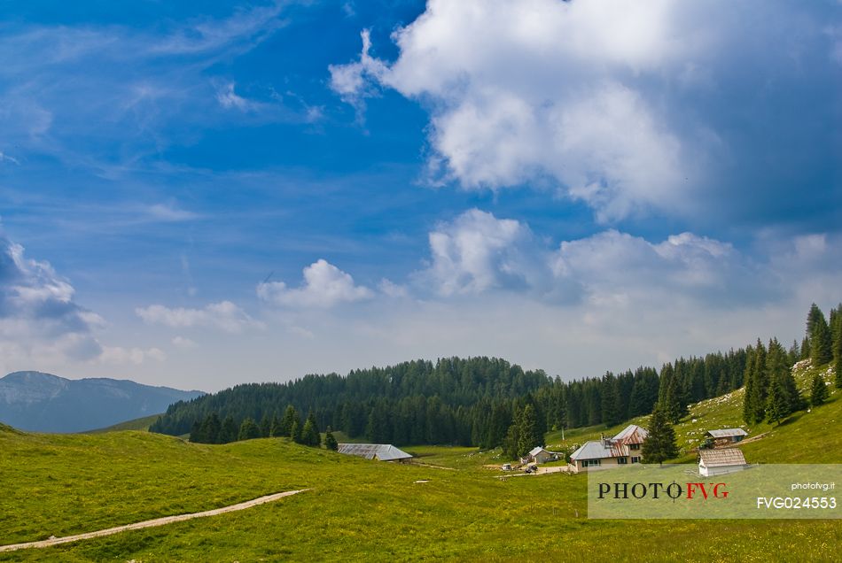 Malga Porta Manazzo alm, Asiago, Italy