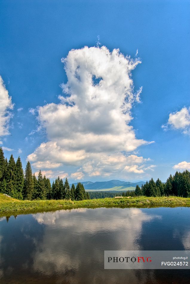 Little lake at Meletta di Gallio, Asiago, Italy