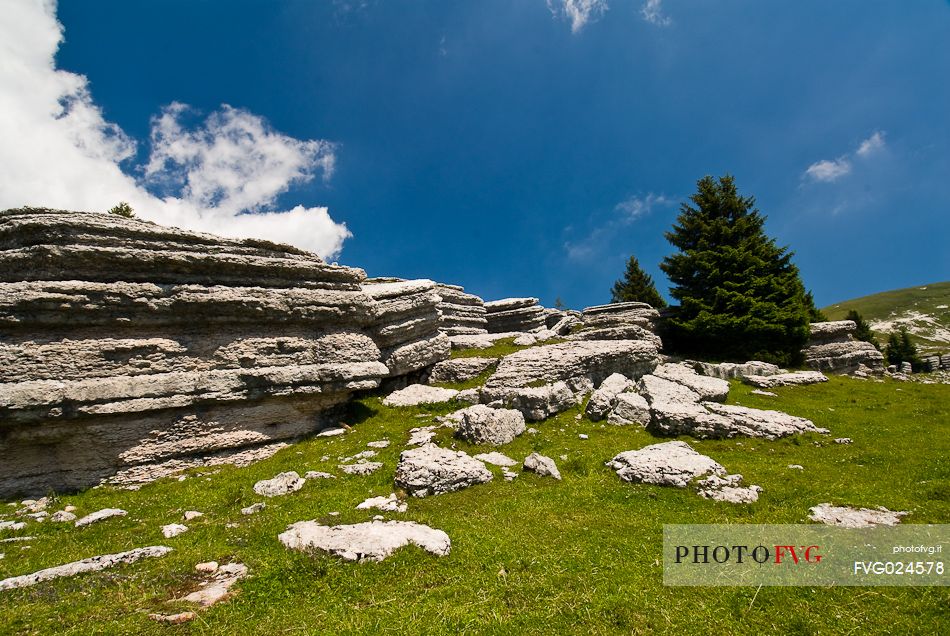 The rocky garden of Fior mount, Melette plateau, Asiago, Italy