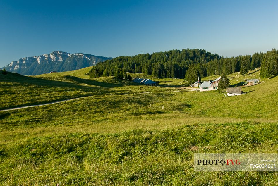 Malga Porta Manazzo alm, Asiago, Italy