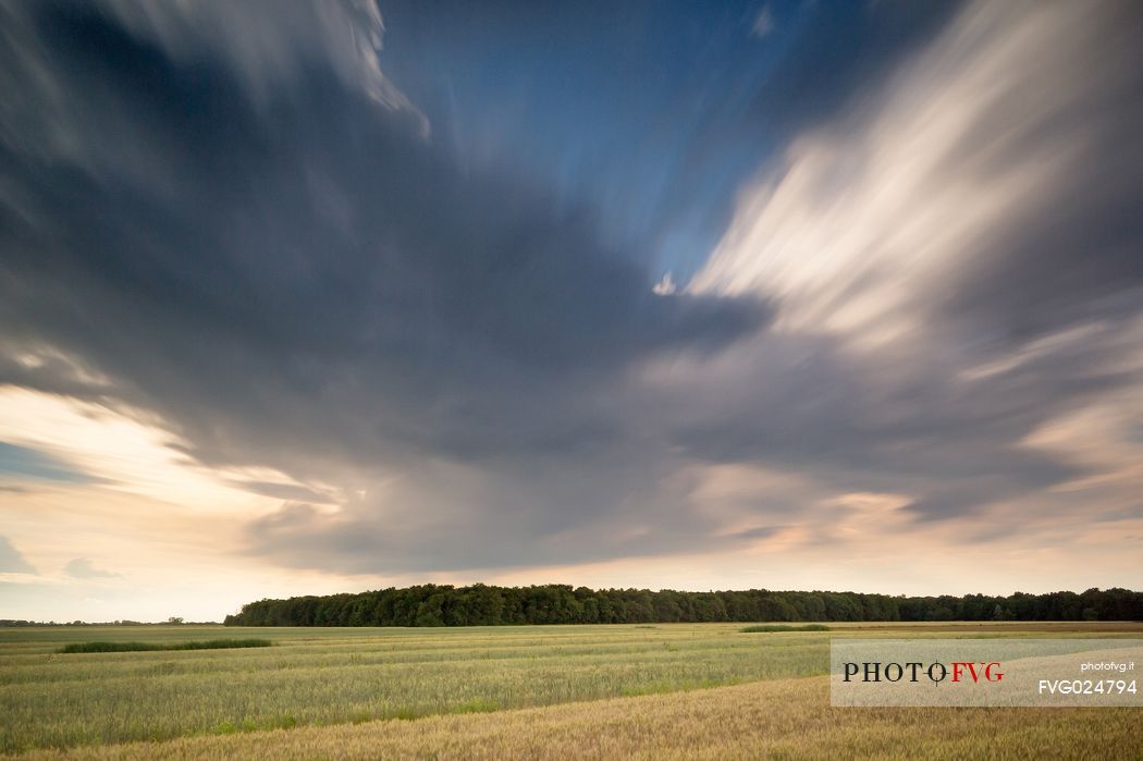 beautiful sky over the lowland forest of Muzzana del Turgnano,Italy
