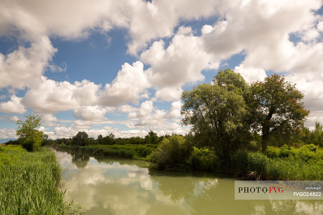 The Cormor river and thelowland forest of Muzzana del Turgnano,Italy
