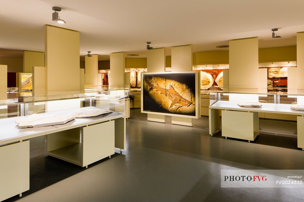 The fossil Museum of Bolca, is one of the most important in the world, Lessinia, Italy