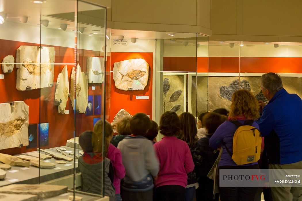 Students at the fossil Museum of Bolca, one of the most important in the world, Lessinia, Italy