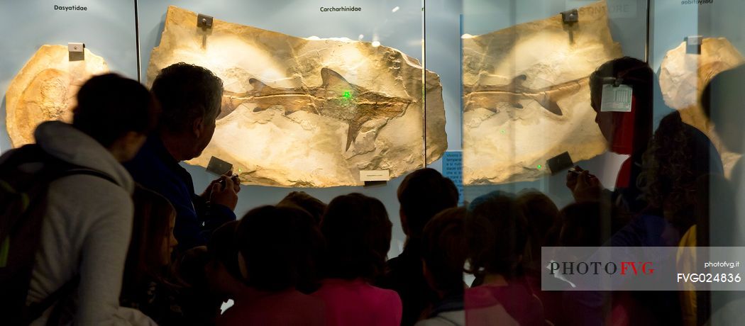 Students at the fossil Museum of Bolca, one of the most important in the world, Lessinia, Italy