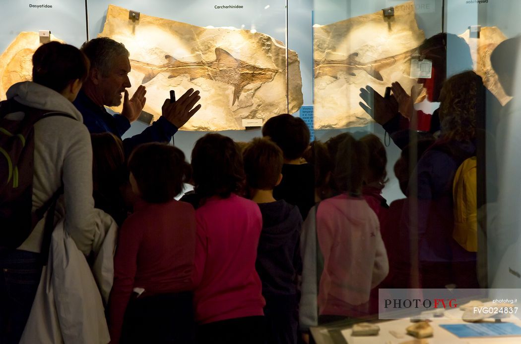 Students at the fossil Museum of Bolca, one of the most important in the world, Lessinia, Italy