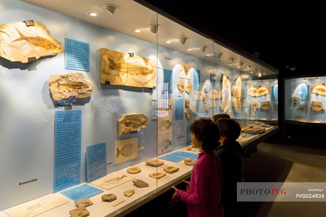 Students at the fossil Museum of Bolca, one of the most important in the world, Lessinia, Italy