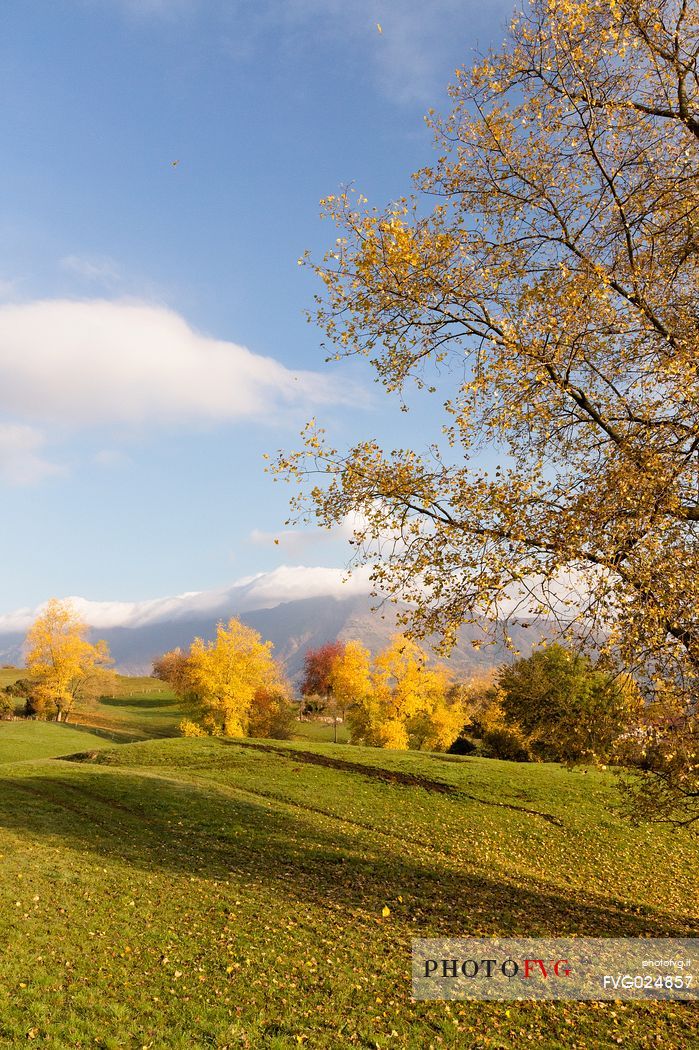 Rolling landscape of Lessini mountain, Bolca, Italy