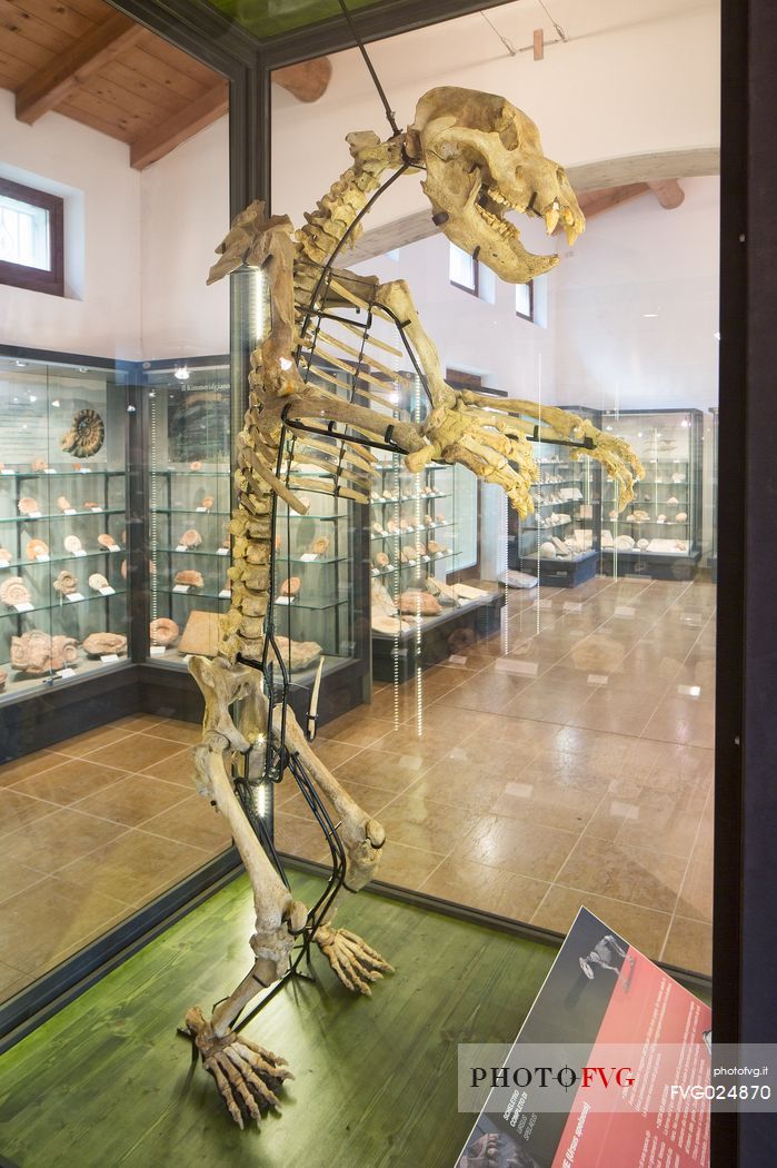 Museum Geo paleontological Attilio Benedetti at Campo Silvano, Lessinia, Italy