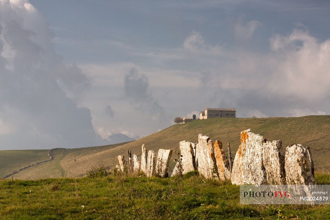 Ancient and typical dry stone wall in Lessinia, Prealps of Veneto, Verona, Italy