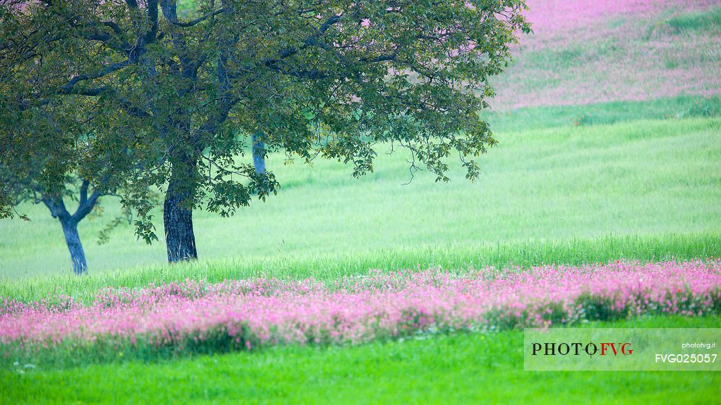 Natural landscape of Norcia, Umbria, Italy