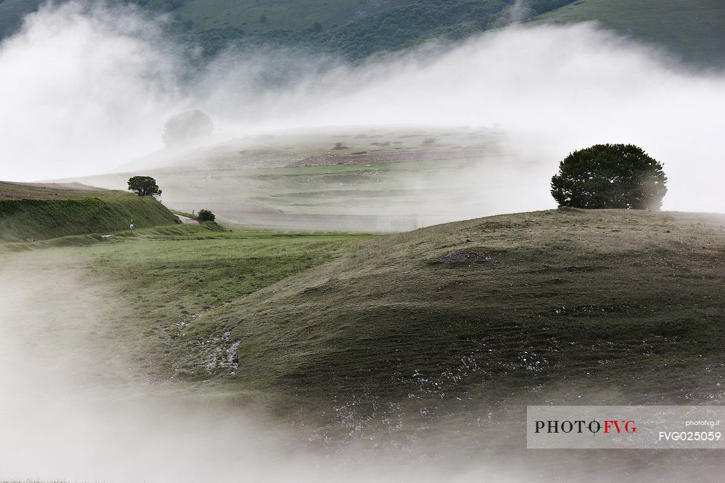 First lights of dawn on Pian Grande Plateau in the fog, Castelluccio di Norcia, Sibillini National Park, Italy