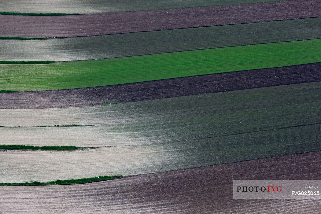 Fields in spring with lentil newly sown, Castelluccio di Norcia, Italy