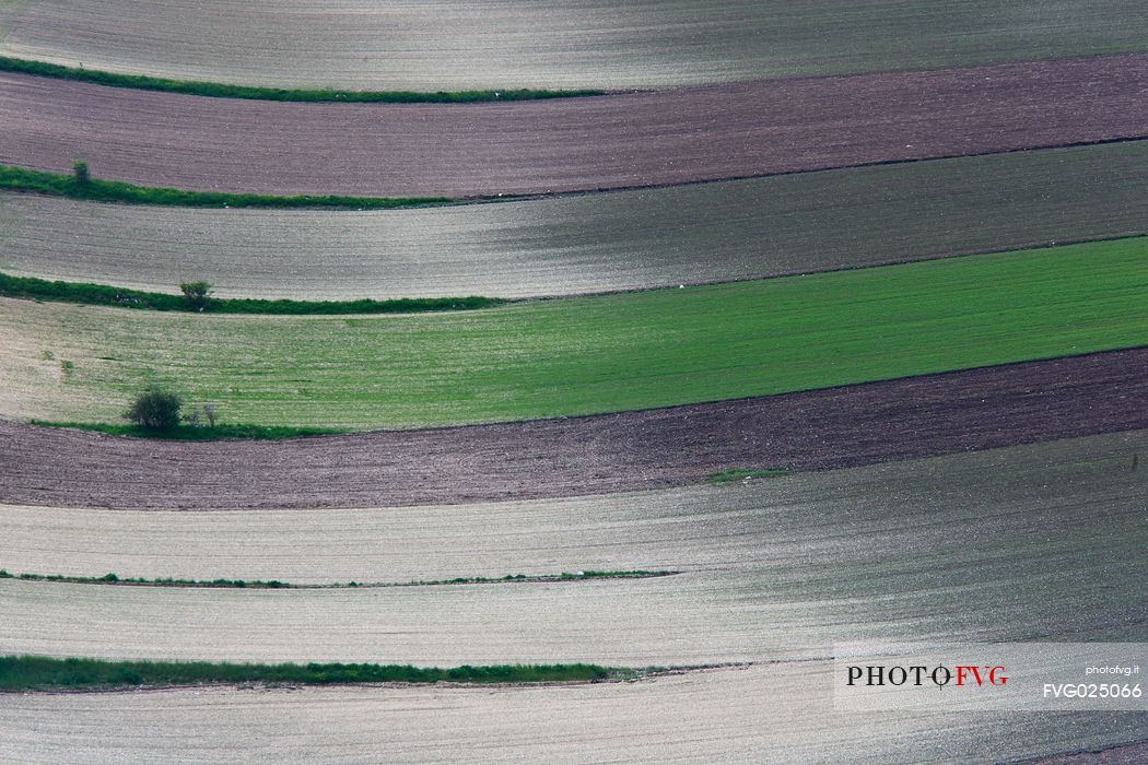 Fields in spring with lentil newly sown, Castelluccio di Norcia, Italy