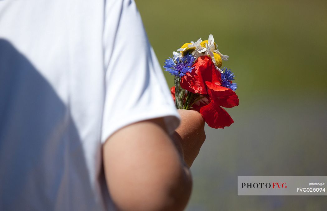 Child holding a bouquet of wild flowers, Castelluccio di Norcia, Italy