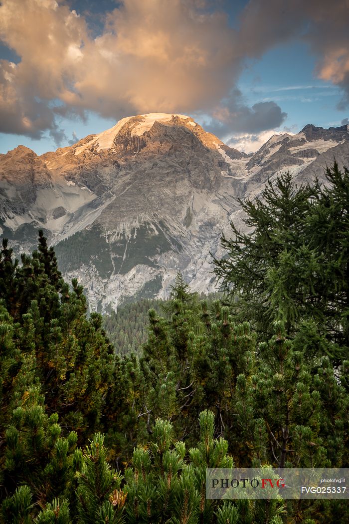 Otles summit in the Stelvio national park, Trafoi,Stelvio pass, South Tyrol, Italy