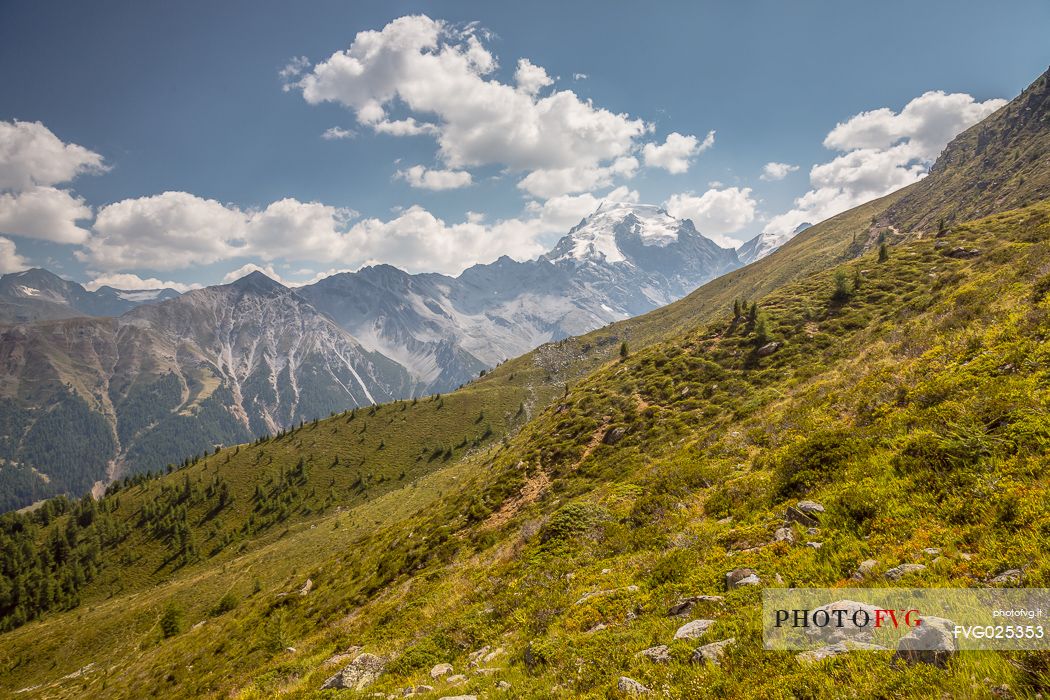 Otles summit in the Stelvio national park, Trafoi,Stelvio pass, South Tyrol, Italy